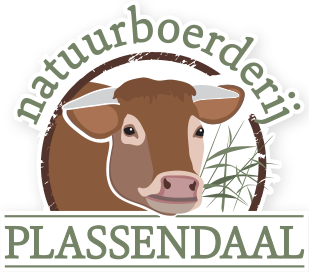 Plassendaal