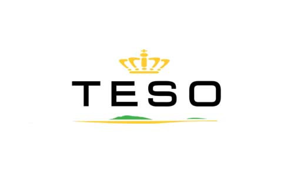 teso